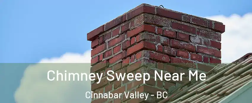  Chimney Sweep Near Me Cinnabar Valley - BC