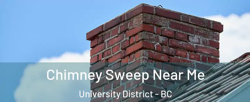  Chimney Sweep Near Me University District - BC