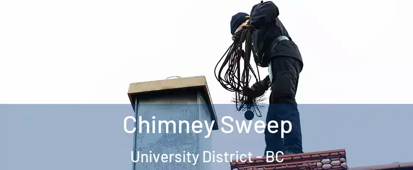  Chimney Sweep University District - BC