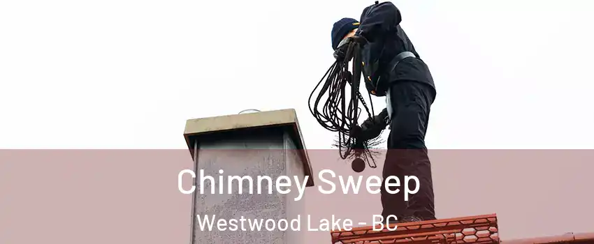  Chimney Sweep Westwood Lake - BC
