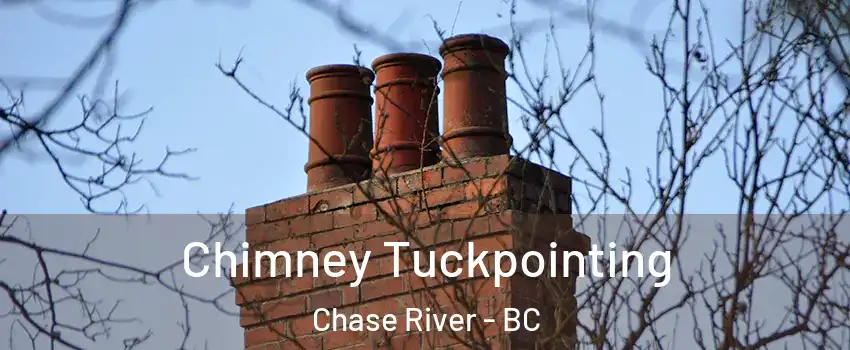  Chimney Tuckpointing Chase River - BC