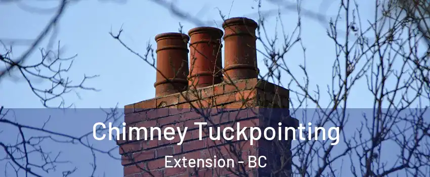  Chimney Tuckpointing Extension - BC