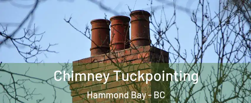  Chimney Tuckpointing Hammond Bay - BC