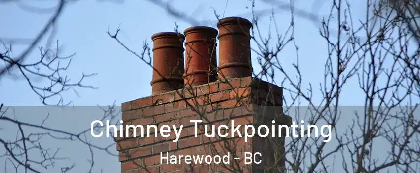  Chimney Tuckpointing Harewood - BC