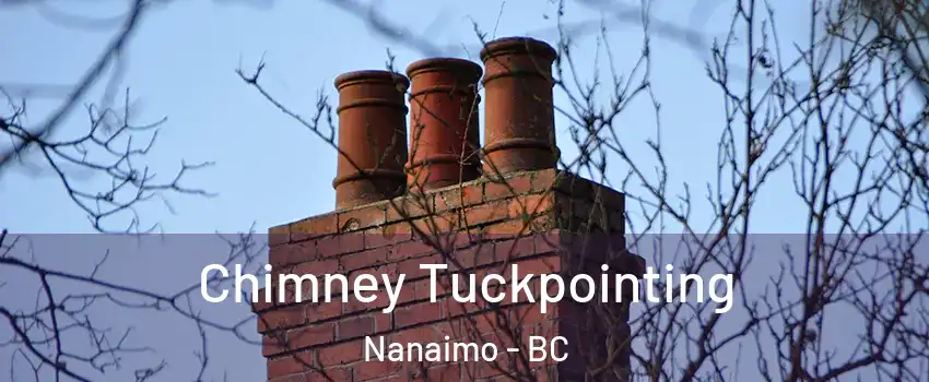  Chimney Tuckpointing Nanaimo - BC