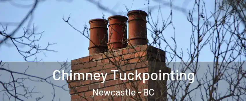  Chimney Tuckpointing Newcastle - BC