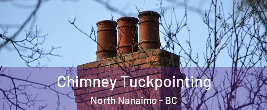  Chimney Tuckpointing North Nanaimo - BC