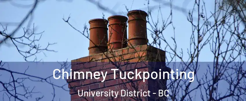  Chimney Tuckpointing University District - BC