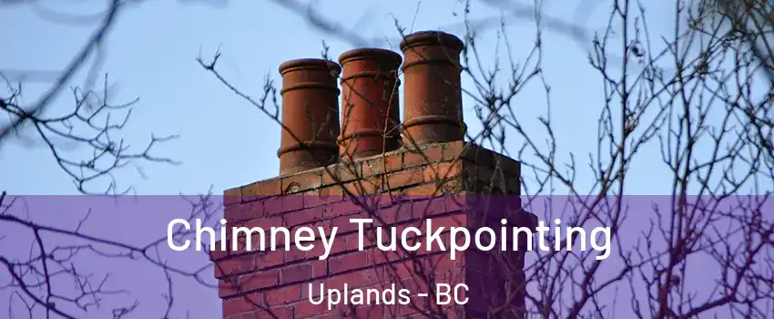  Chimney Tuckpointing Uplands - BC