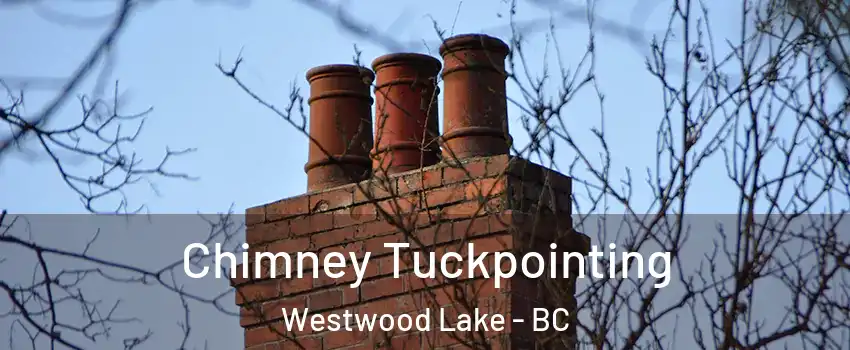  Chimney Tuckpointing Westwood Lake - BC