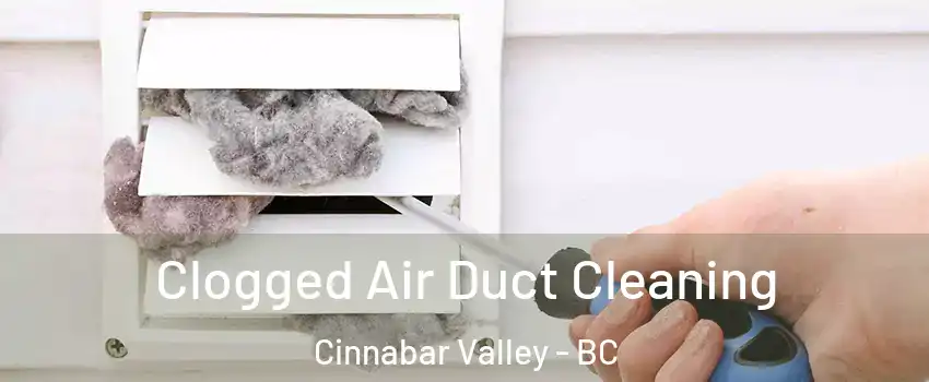  Clogged Air Duct Cleaning Cinnabar Valley - BC