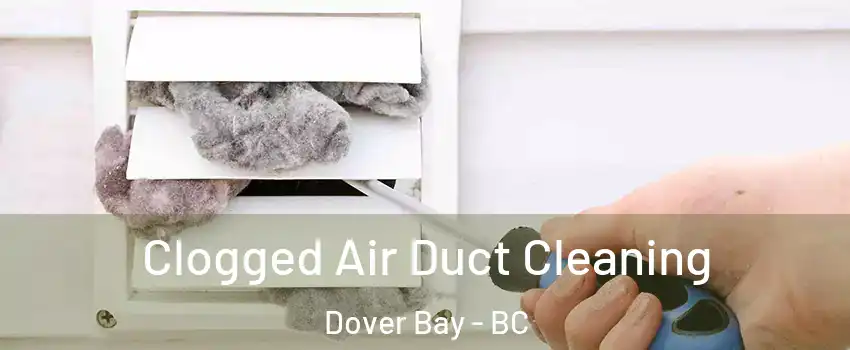  Clogged Air Duct Cleaning Dover Bay - BC