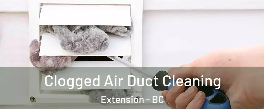  Clogged Air Duct Cleaning Extension - BC