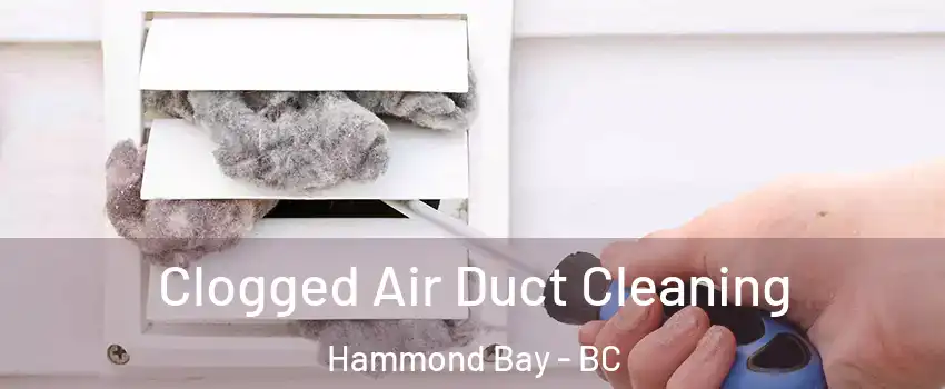  Clogged Air Duct Cleaning Hammond Bay - BC