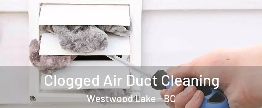  Clogged Air Duct Cleaning Westwood Lake - BC