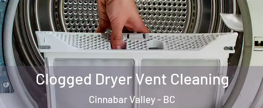  Clogged Dryer Vent Cleaning Cinnabar Valley - BC