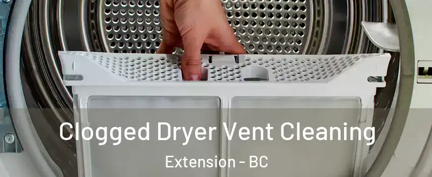  Clogged Dryer Vent Cleaning Extension - BC