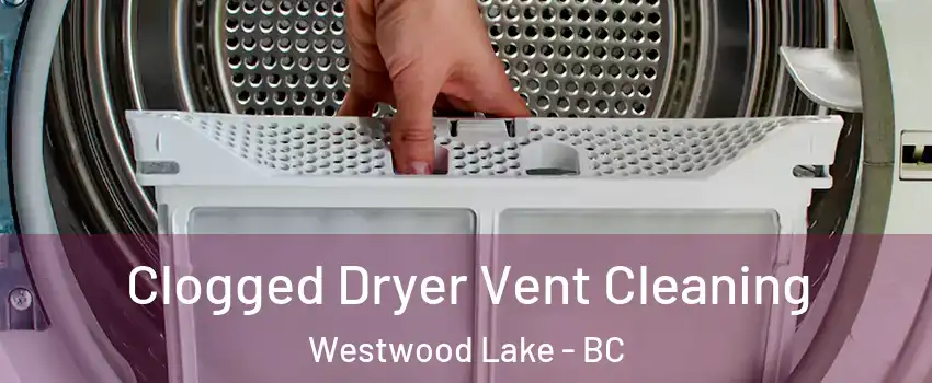  Clogged Dryer Vent Cleaning Westwood Lake - BC