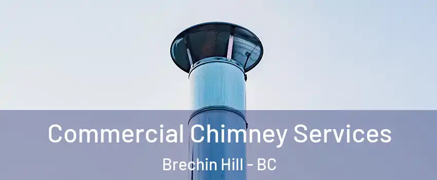  Commercial Chimney Services Brechin Hill - BC