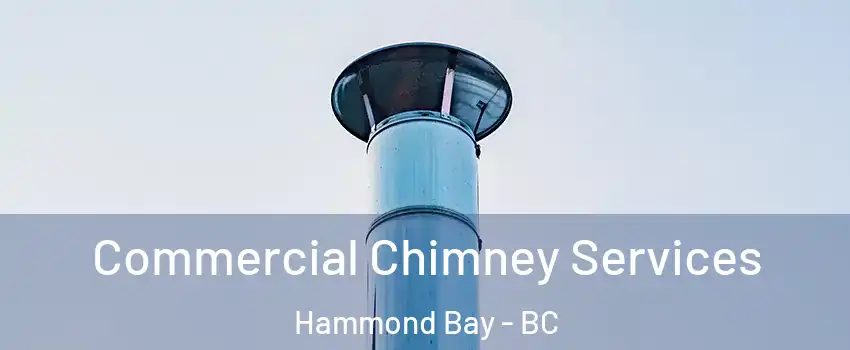  Commercial Chimney Services Hammond Bay - BC