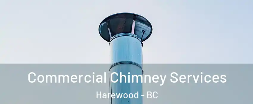  Commercial Chimney Services Harewood - BC