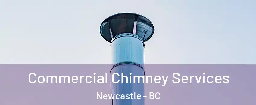  Commercial Chimney Services Newcastle - BC