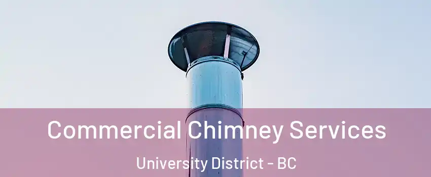  Commercial Chimney Services University District - BC