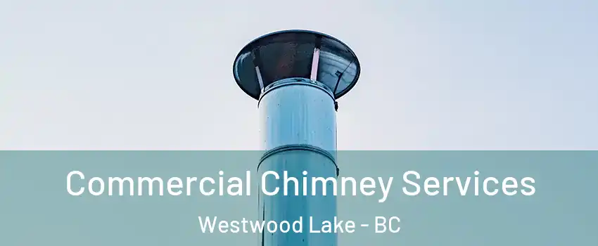  Commercial Chimney Services Westwood Lake - BC