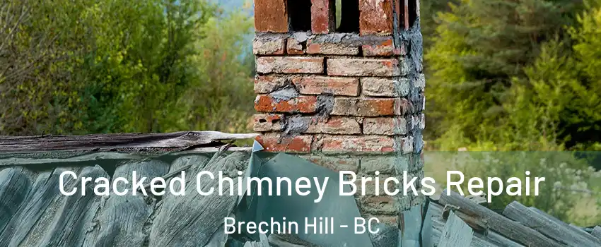  Cracked Chimney Bricks Repair Brechin Hill - BC