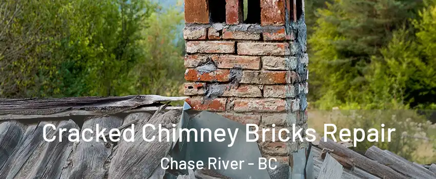  Cracked Chimney Bricks Repair Chase River - BC