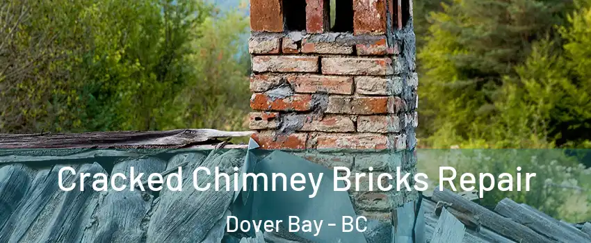  Cracked Chimney Bricks Repair Dover Bay - BC