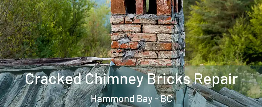  Cracked Chimney Bricks Repair Hammond Bay - BC