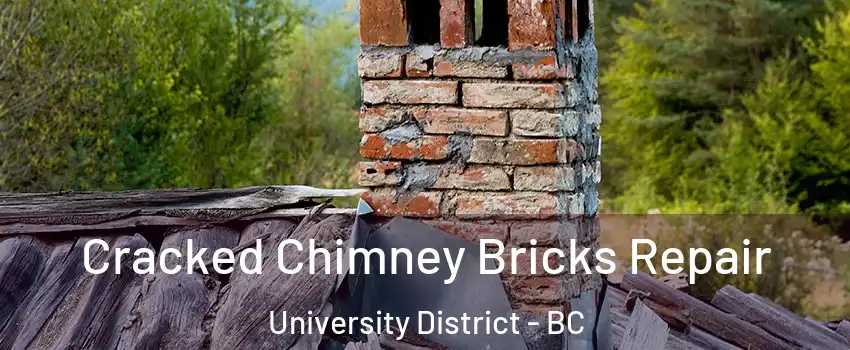  Cracked Chimney Bricks Repair University District - BC