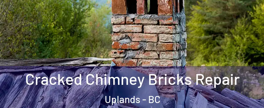  Cracked Chimney Bricks Repair Uplands - BC