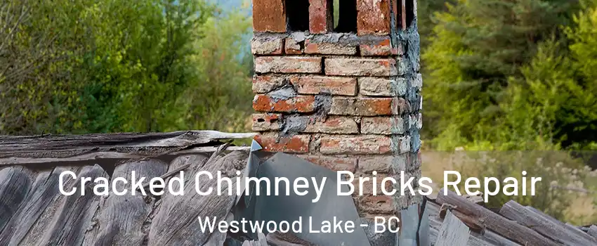  Cracked Chimney Bricks Repair Westwood Lake - BC