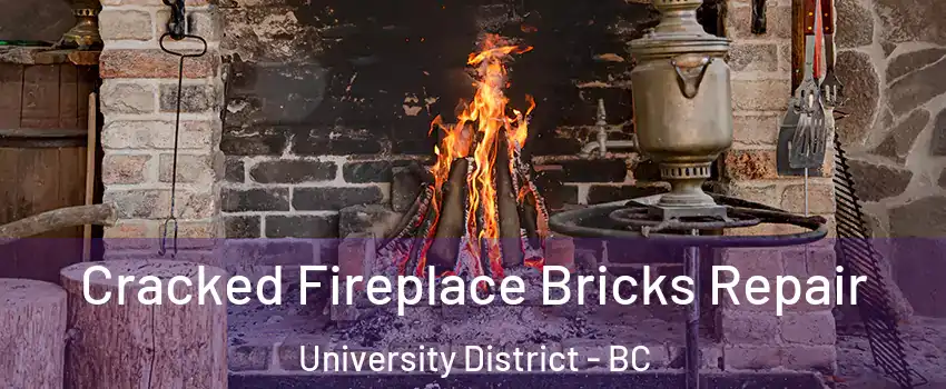  Cracked Fireplace Bricks Repair University District - BC