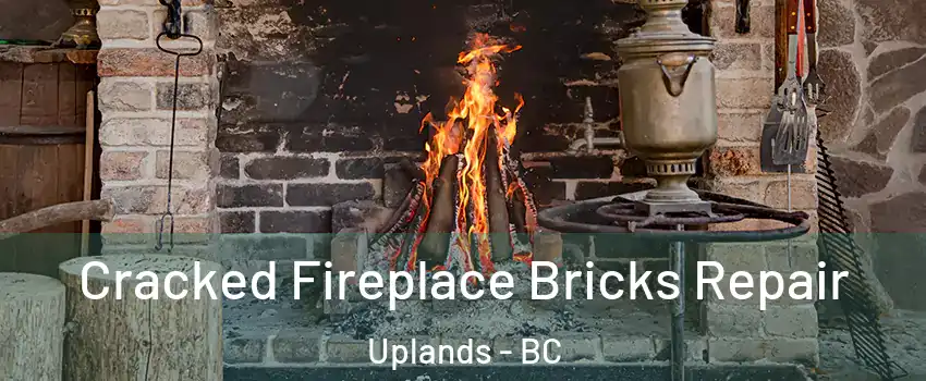  Cracked Fireplace Bricks Repair Uplands - BC