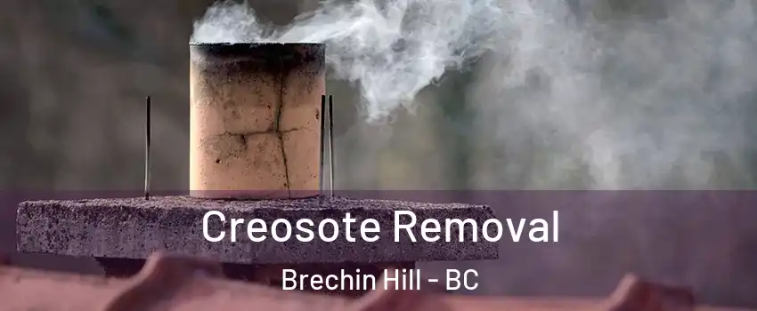  Creosote Removal Brechin Hill - BC