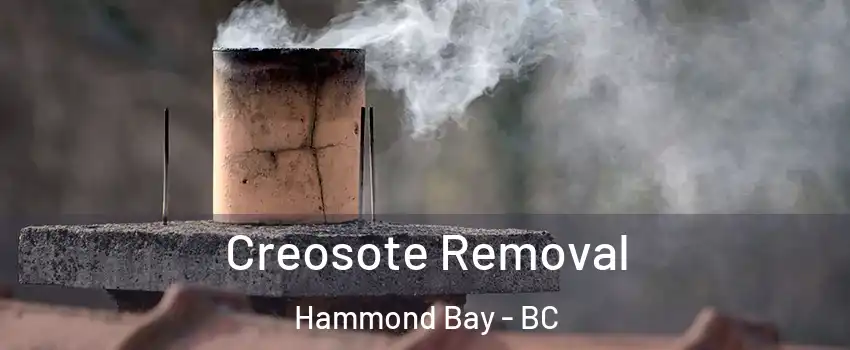  Creosote Removal Hammond Bay - BC