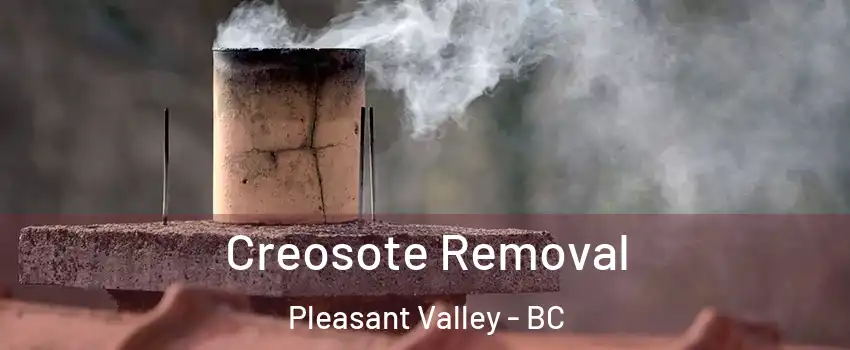  Creosote Removal Pleasant Valley - BC