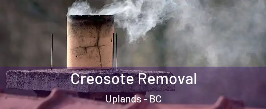  Creosote Removal Uplands - BC