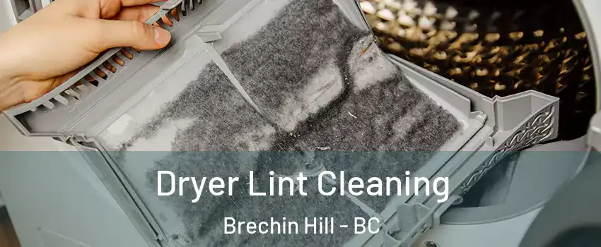  Dryer Lint Cleaning Brechin Hill - BC