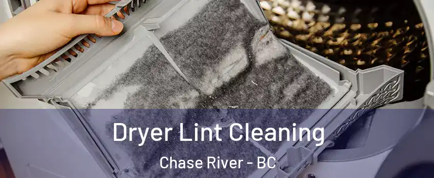  Dryer Lint Cleaning Chase River - BC