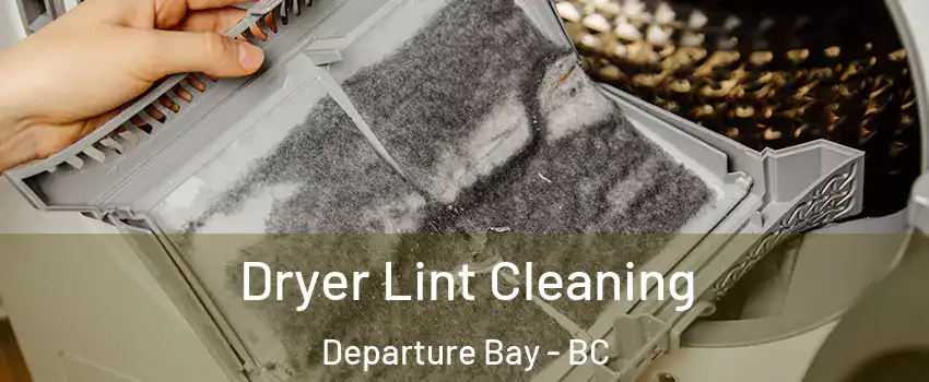  Dryer Lint Cleaning Departure Bay - BC