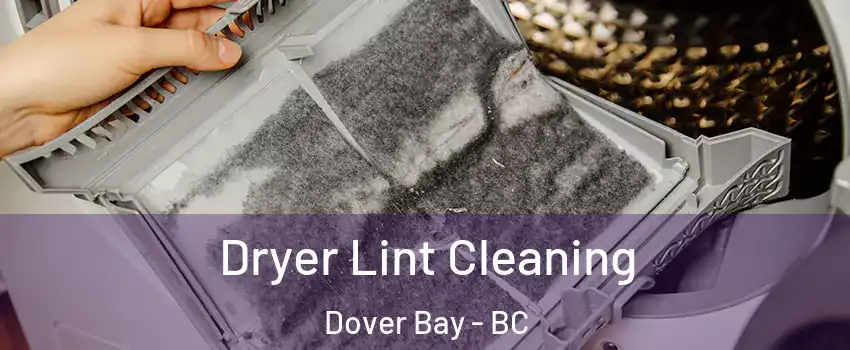  Dryer Lint Cleaning Dover Bay - BC