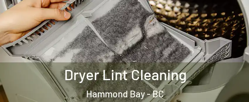  Dryer Lint Cleaning Hammond Bay - BC