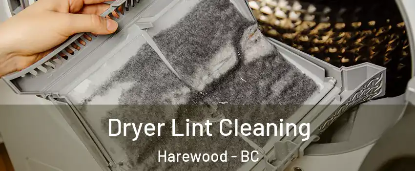 Dryer Lint Cleaning Harewood - BC