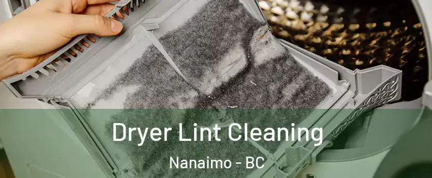  Dryer Lint Cleaning Nanaimo - BC