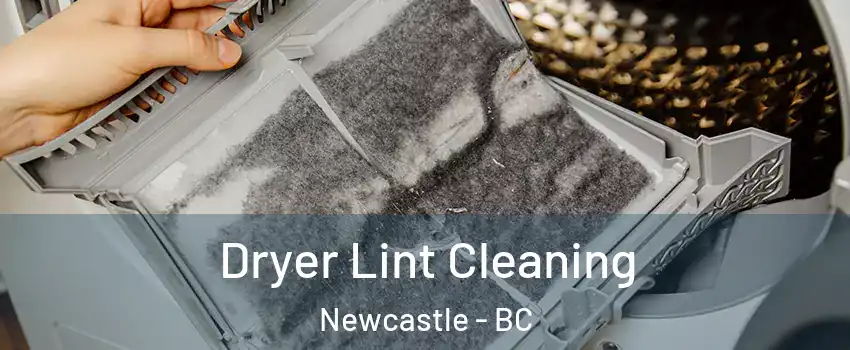  Dryer Lint Cleaning Newcastle - BC
