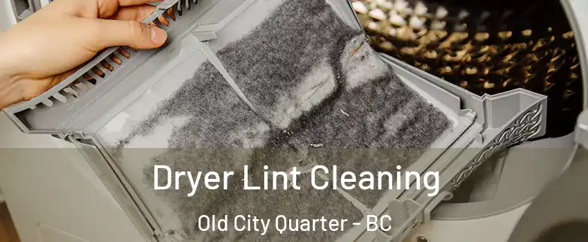  Dryer Lint Cleaning Old City Quarter - BC